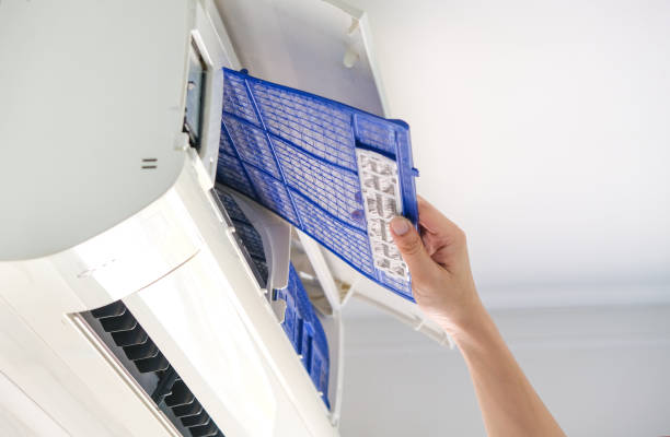 Best Air Duct Mold Removal  in Batavia, IL